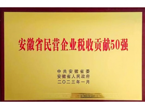 安徽省民營企業稅收貢獻50強